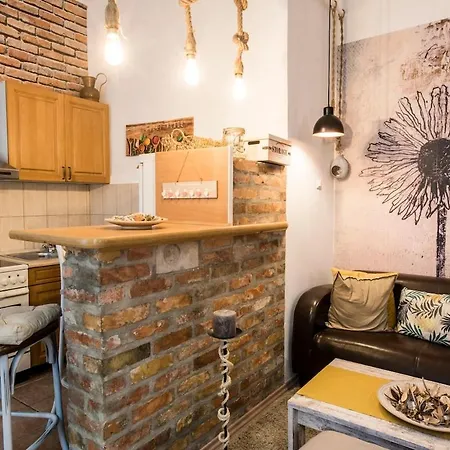 Vintage Style Flat In The Heart Of Buda Apartament